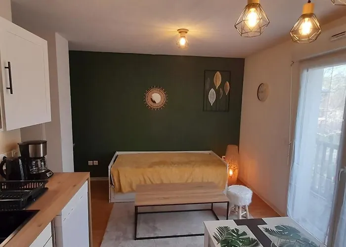 Appartamento Du Mouflon Vert, Dans Résidence De Tourisme 3 étoiles Lourdes